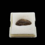 Meteoriti Maroko #4188 (2)