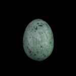 Zeleni Mermer jaje #4879 (2)