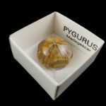 Pygurus #1587B5 v15